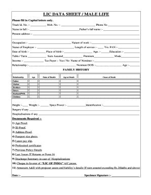 lic data sheet format in excel