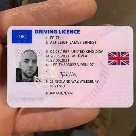 licence driver
