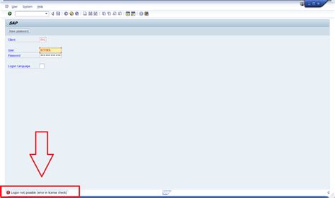 License Check Error In Sap