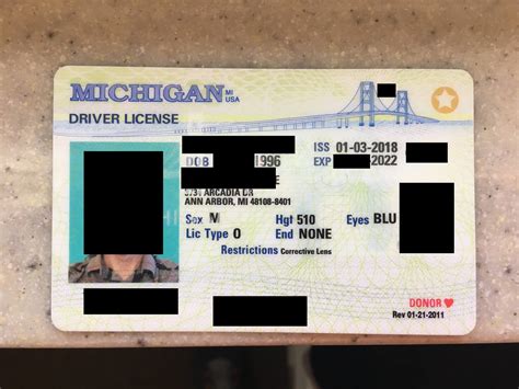 license verification for mi state aba type