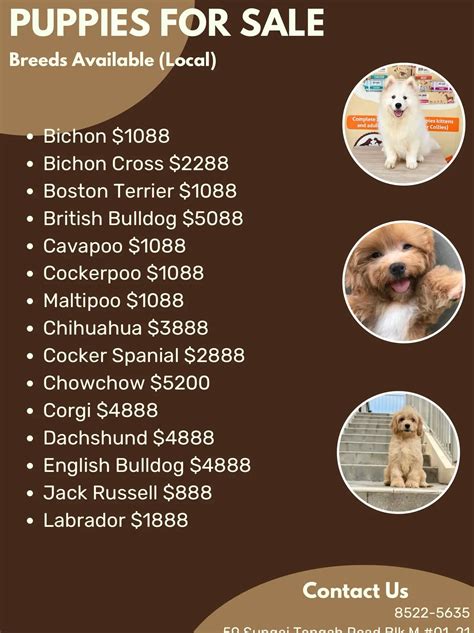 Licensed Pet Shop