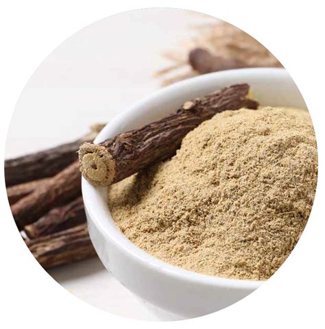 Licorice Root Extract