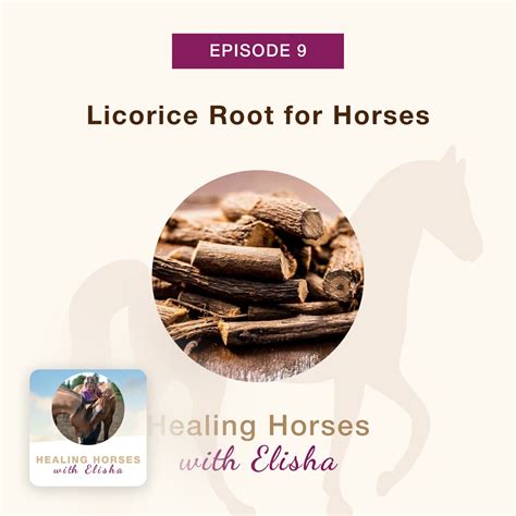 Licorice Root Horses