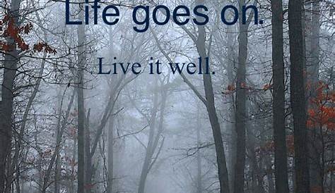 Life Goes On Quotes Funny After All, Pictures, Photos, And Images For