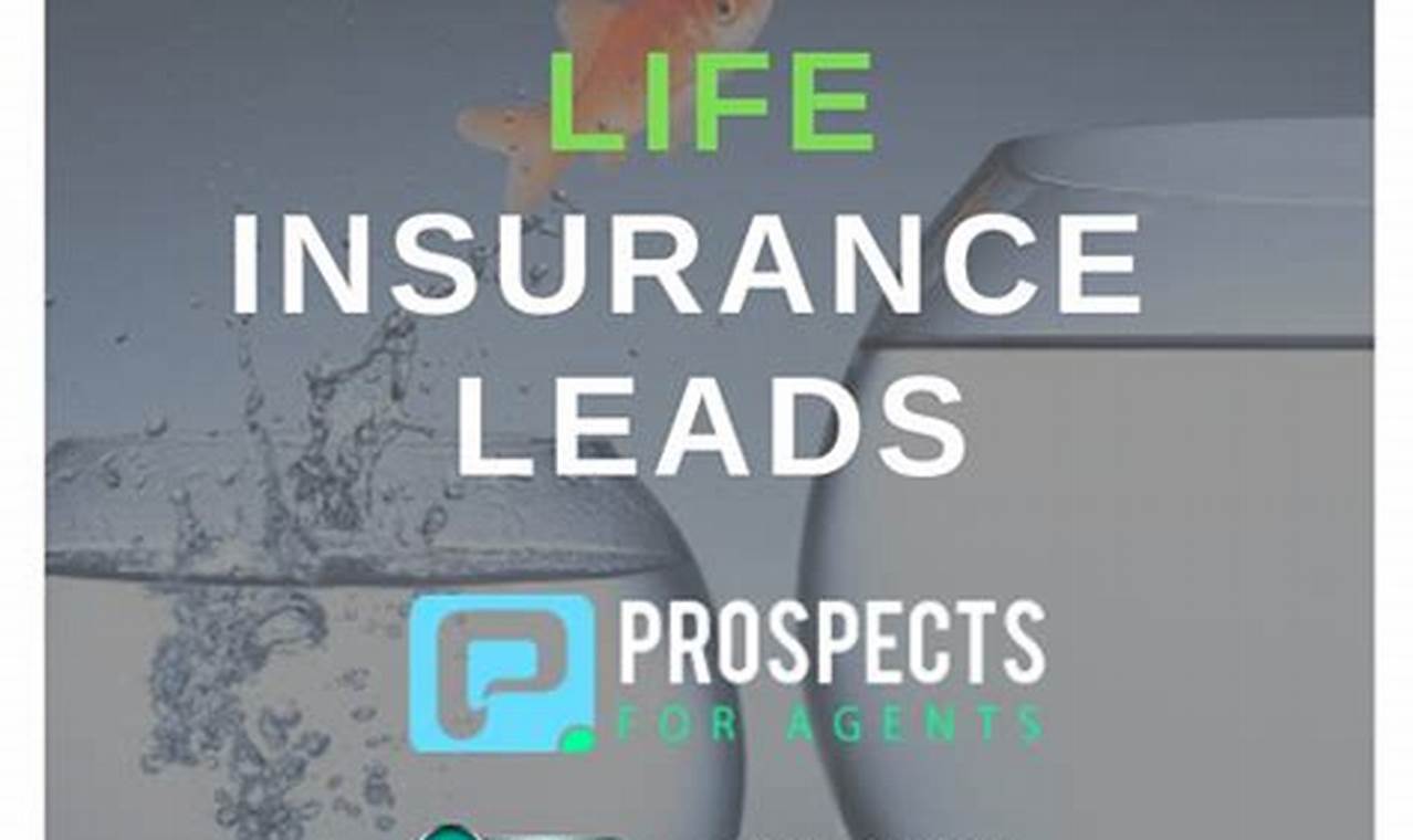 life insurance leads live transfer