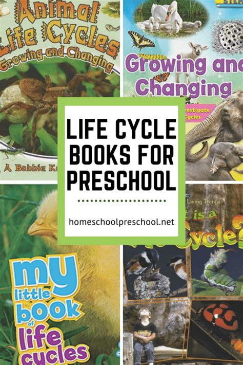 Life Cycle Books