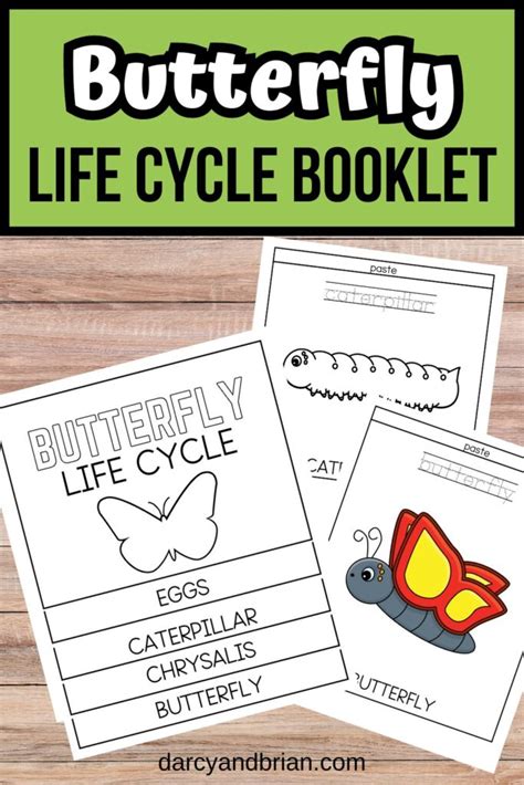 Life Cycle Printable Booklet