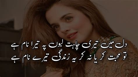 life is not about love meaning in urdu