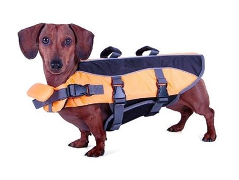 Life Jacket For Mini Dachshund