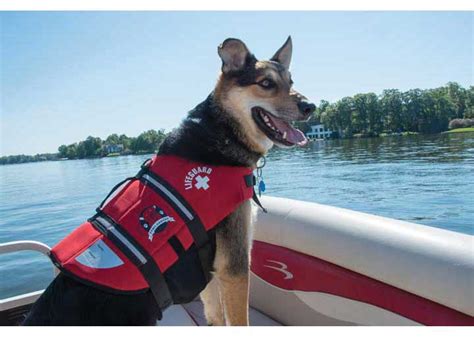Life Jacket Large Dog