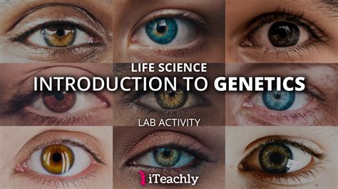 Life Lab Genetics