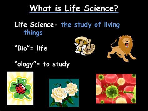 Life Science Meaning Example