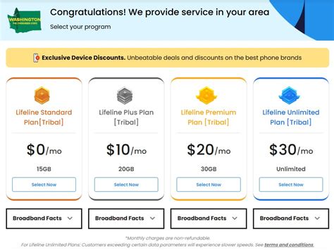 Lifeline Phone Plan