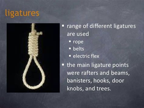 ligature points definition