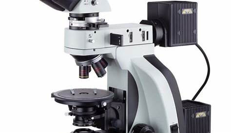 Motic Microscopio AE2000 MET, trino, 50x500x, LM