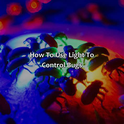 Light Attracts Bugs Programming