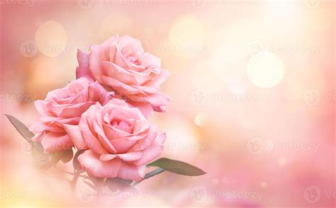 Light Background Rose