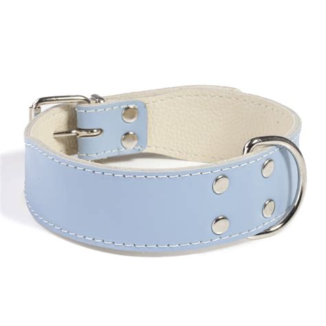 light blue leather dog collar