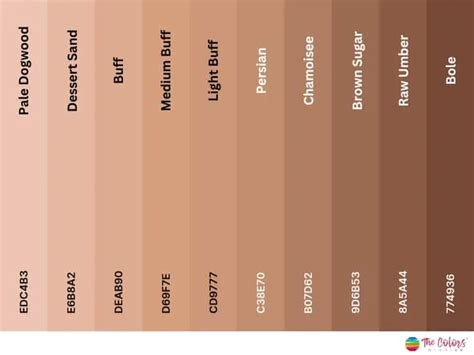 Light Brown Color Code Google Slides
