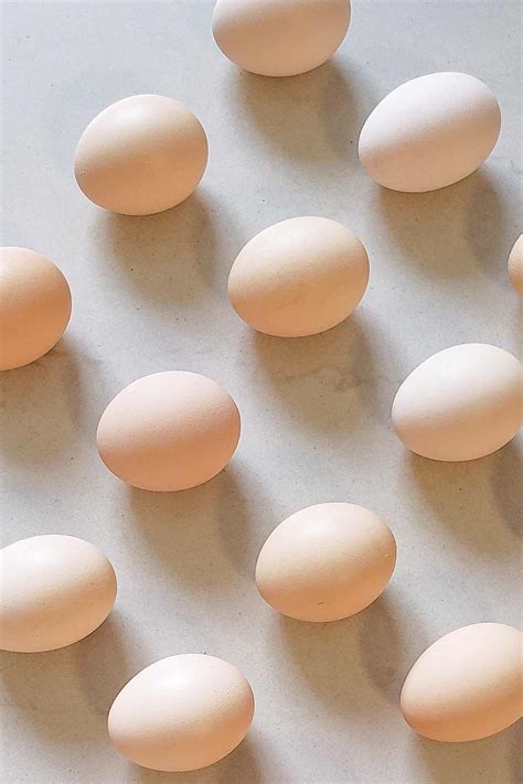 Light Cream Colored Egg