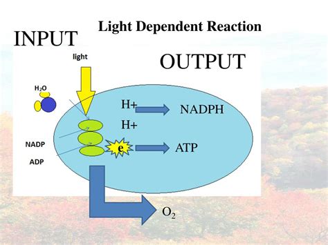 Light Dependent Output