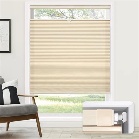 Light Filtering Cellular Shades Amazon