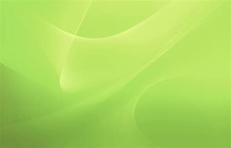 Light Green Colour Background Hd