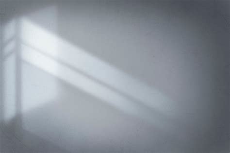 Light Grey Zoom Background