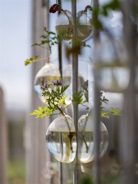 Light Hanging Vases