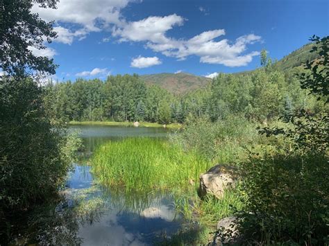 Light Hike with Local Guide: An In-Depth Review