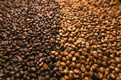 Light Roast Espresso Beans