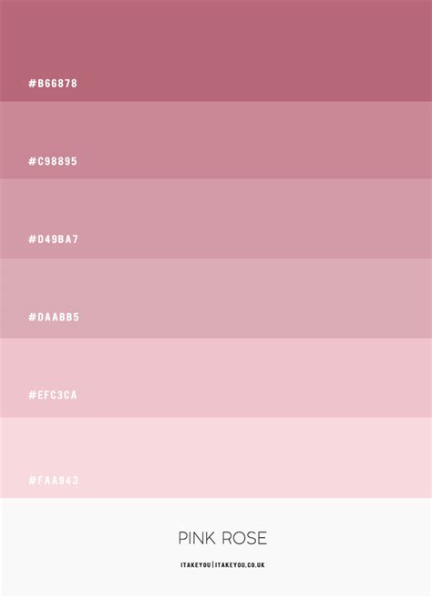 light rose color code