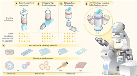 Light Sheet Microscopy Resolution