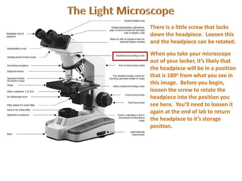 Light Switch On A Microscope Function