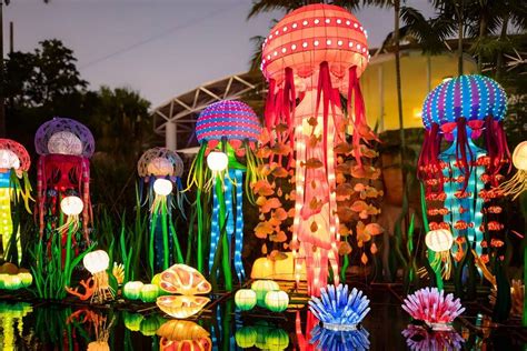 Review Of Light Up 2023