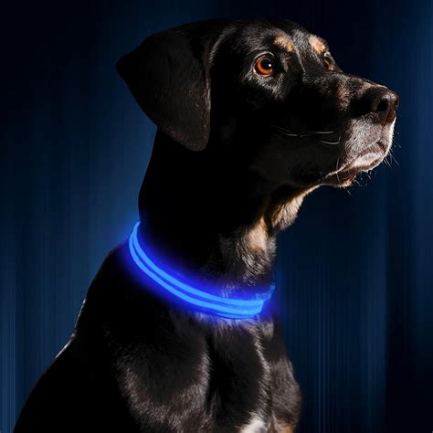 light up led dog collar