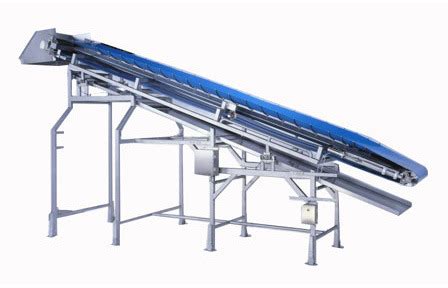 www.icouldlivehere.org:light weight conveyor