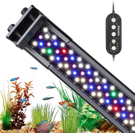 Lighting Aquarium