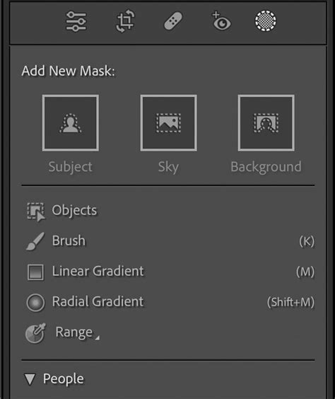 Lightroom Brush Disappears