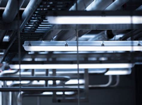 Lights For Cold Room