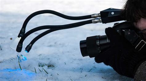 Lights For Macro Photography