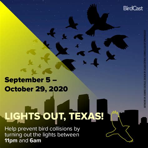 Lights Out Texas