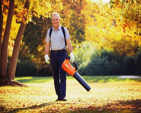 Lightweight Leaf Blower For Seniors