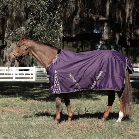 Lightweight Turnout Sheets For Horses