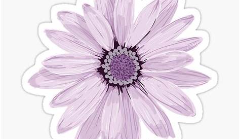 Lilacs transparent sticker by Clare Walker at Redbubble. Lilac