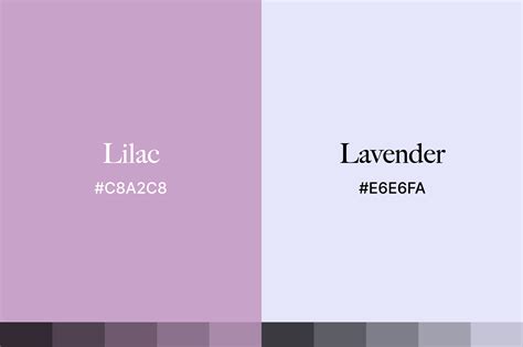 Perbedaan Warna Lilac dan Lavender dari Segi Kombinasi Warna