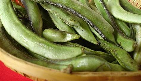 Lima Beans In Hindi Name Sailu's Food dian Food Andhra Recipes Herbs