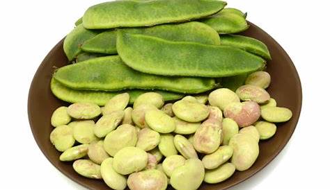 Lima Beans In Tamil View Of Also Known As Avara Kottai