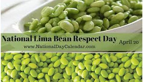 Lima Beans Meaning In Tamil Hindi Taka Vegetable