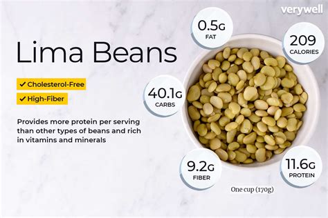 Lima Bean Calories Count